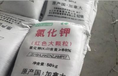 加拿大氯化钾
